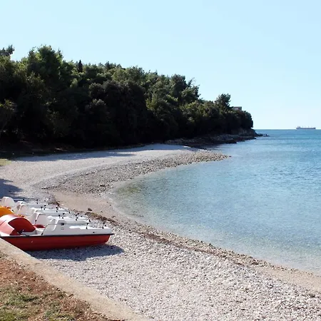 7647a Daire
